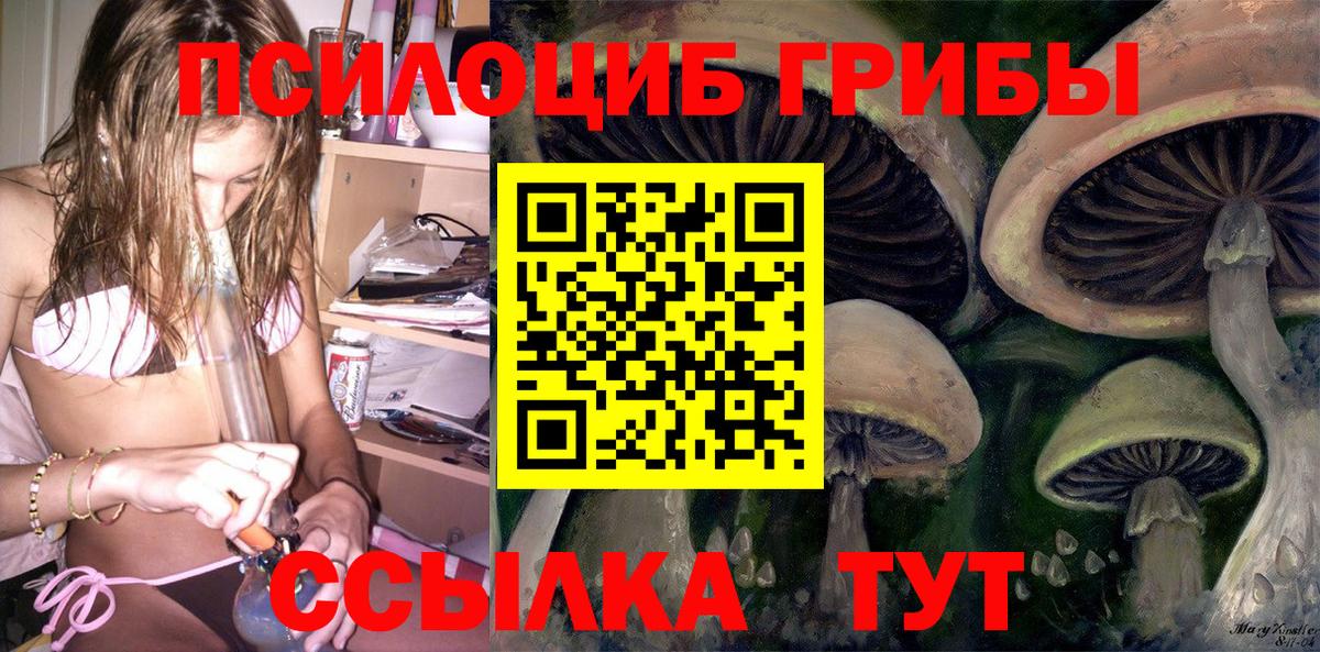 Псилоцибиновые грибы Psilocybine cubensis Сланцы