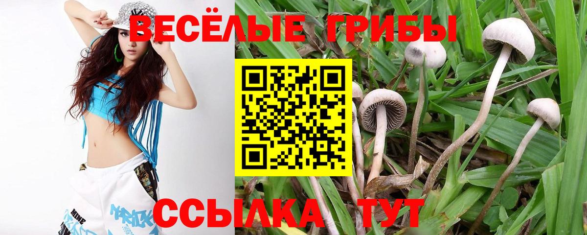 Сланцы  Псилоцибиновые грибы ЛСД  Псилоцибиновые грибы GOLDEN TEACHER  Вход с VPN 